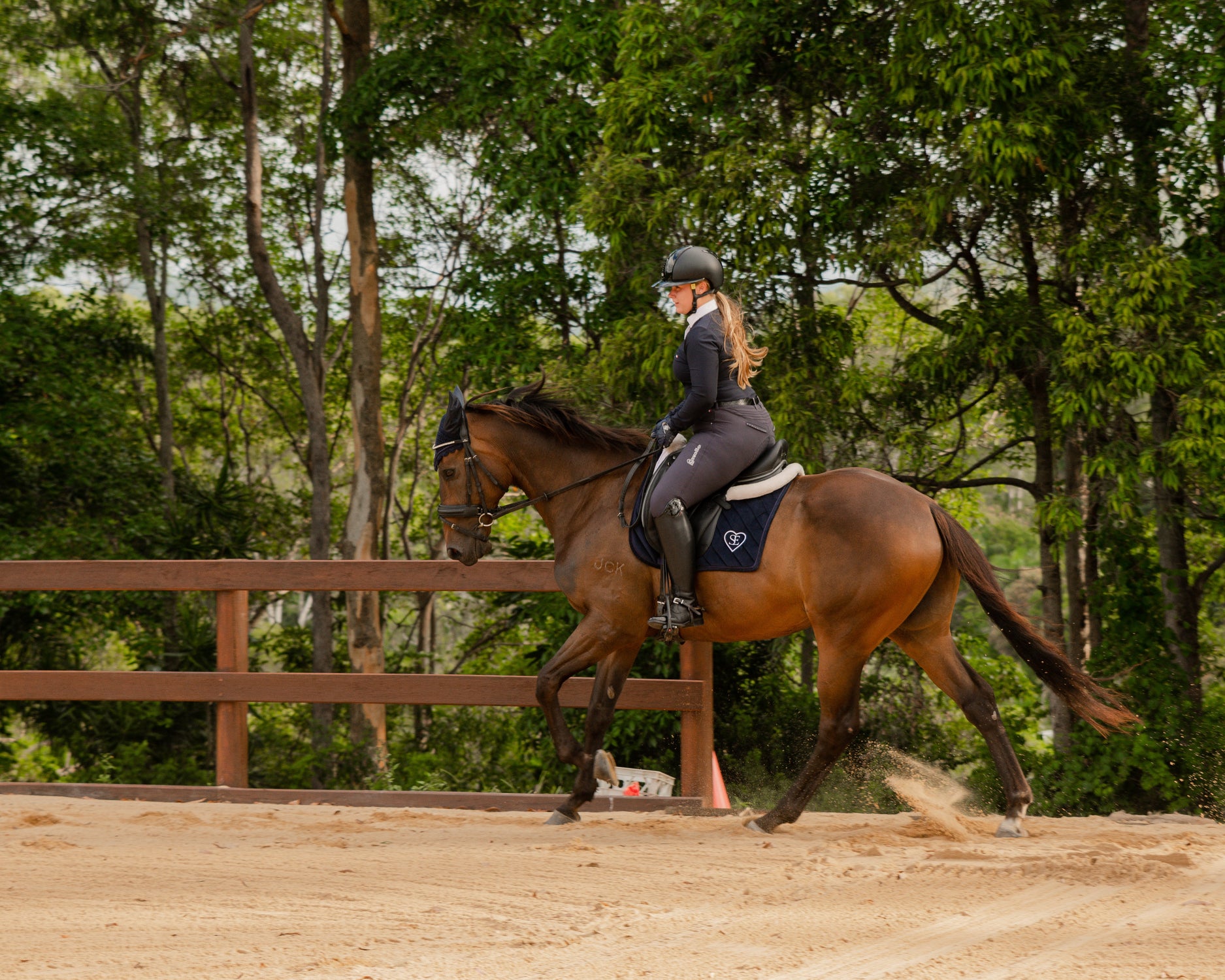 Heartline Collection