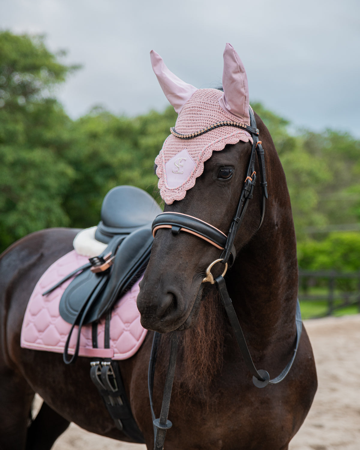 Ear Bonnets