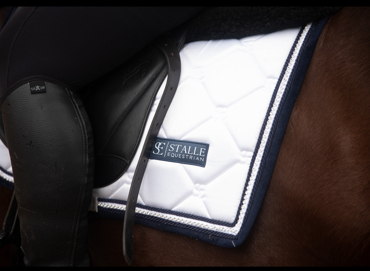 Dressage Comp Bundle