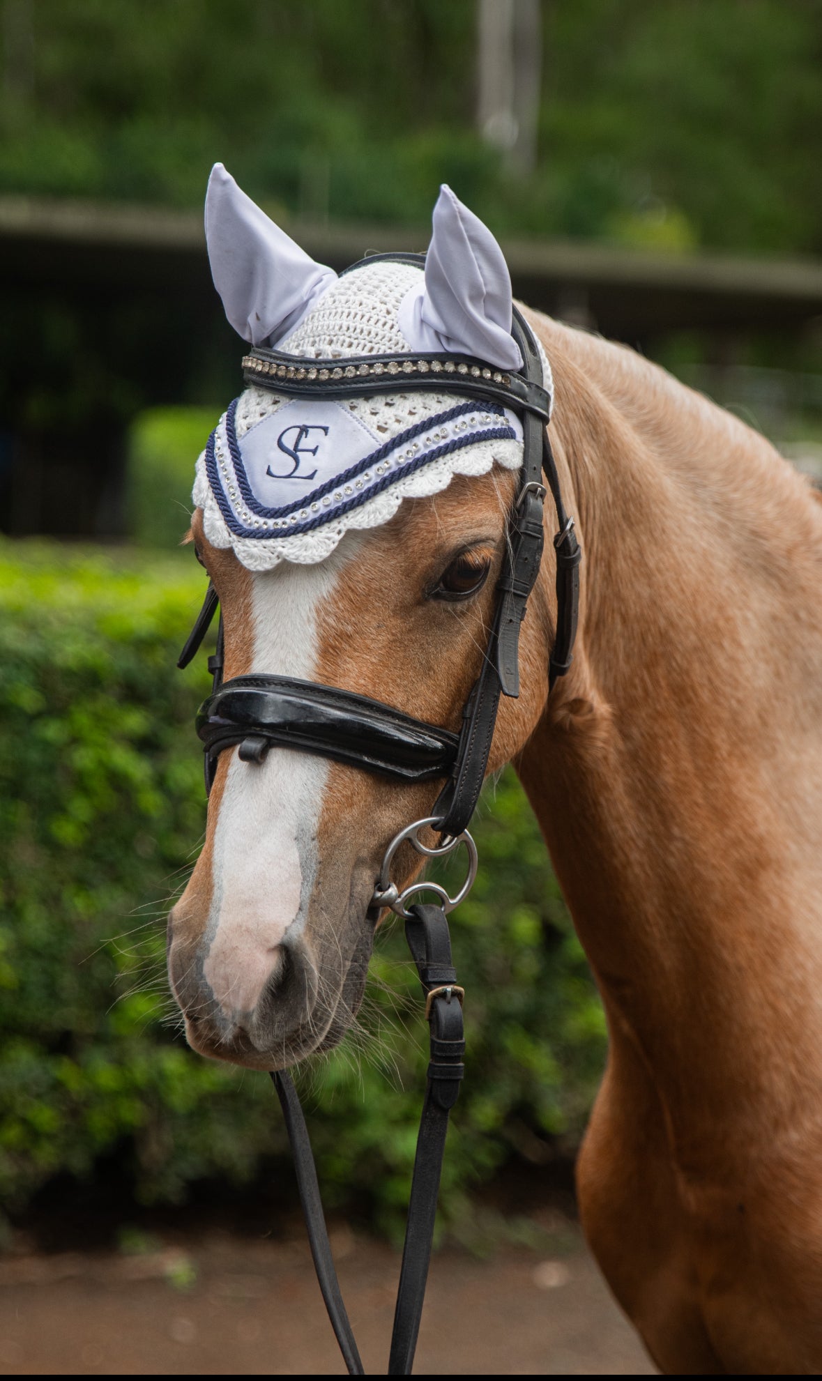 Ear Bonnet - White & Navy
