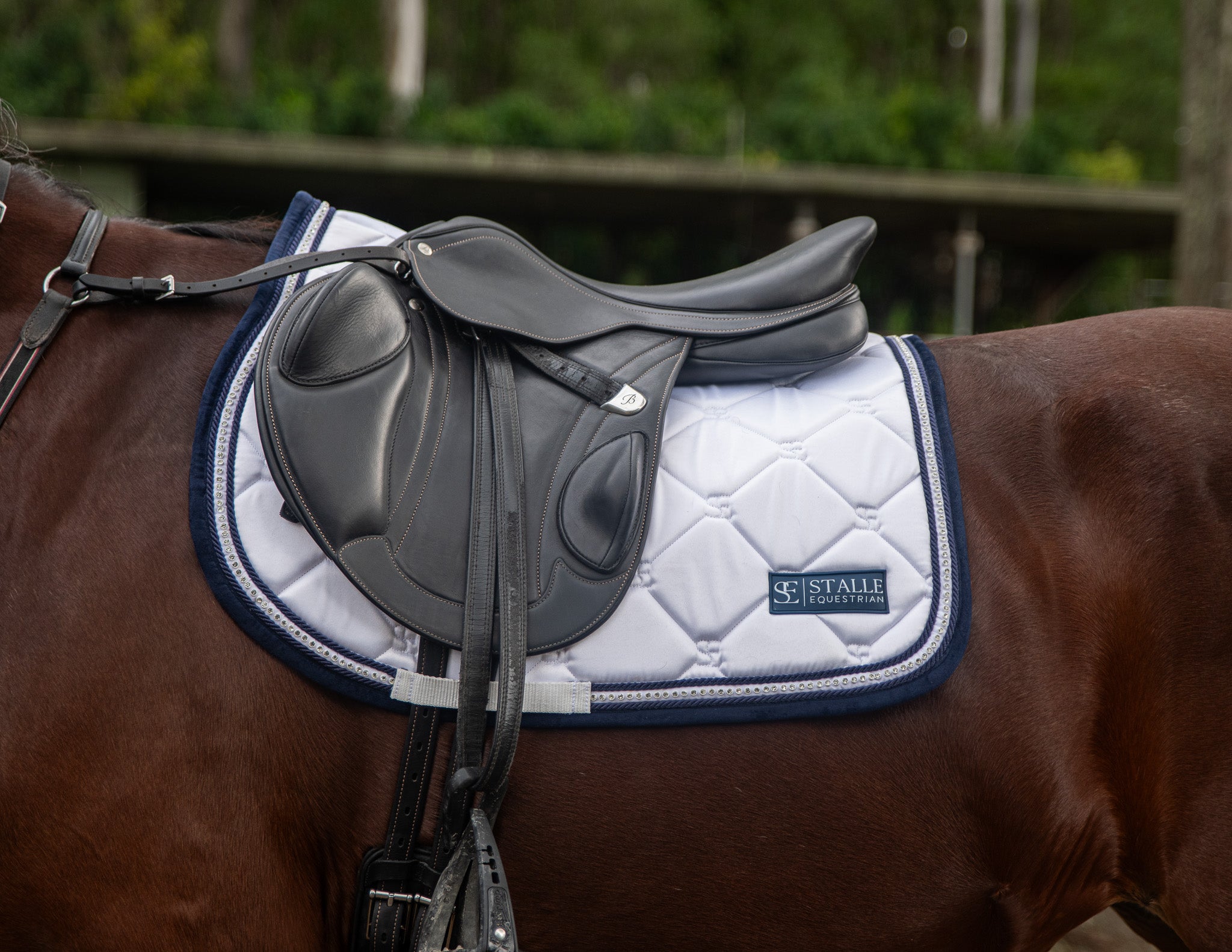 White & Navy -Jump Saddle Pad