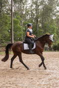Load image into Gallery viewer, Dressage Comp Bundle
