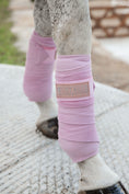 Load image into Gallery viewer, Polo Wraps - Dusty Pink-
