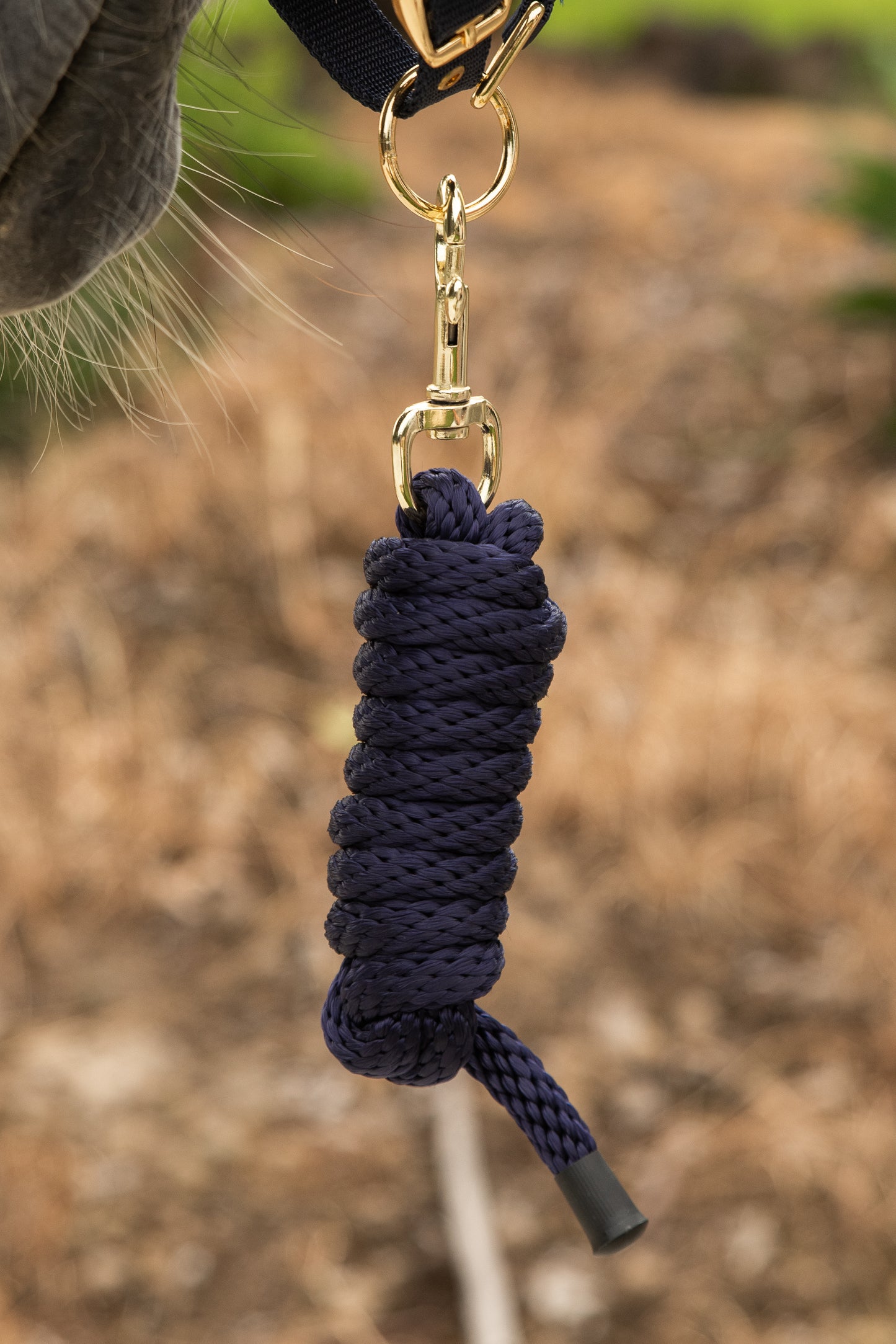 Lead rope - Blue