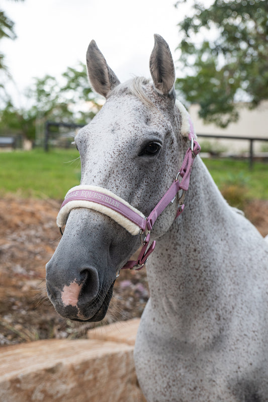 Halter - Dusty Pink