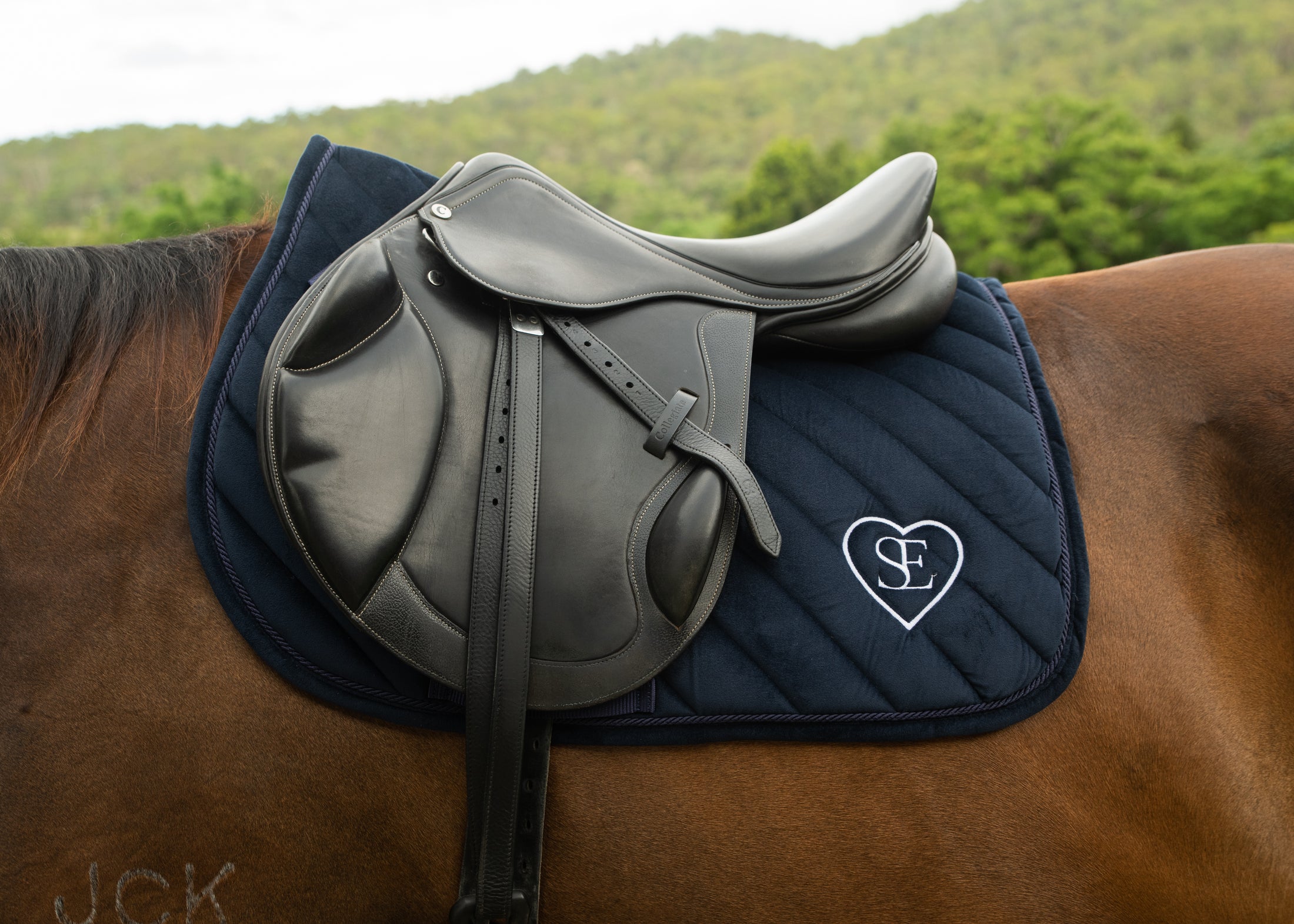 Navy Jump Saddle Pad- Limited Edition