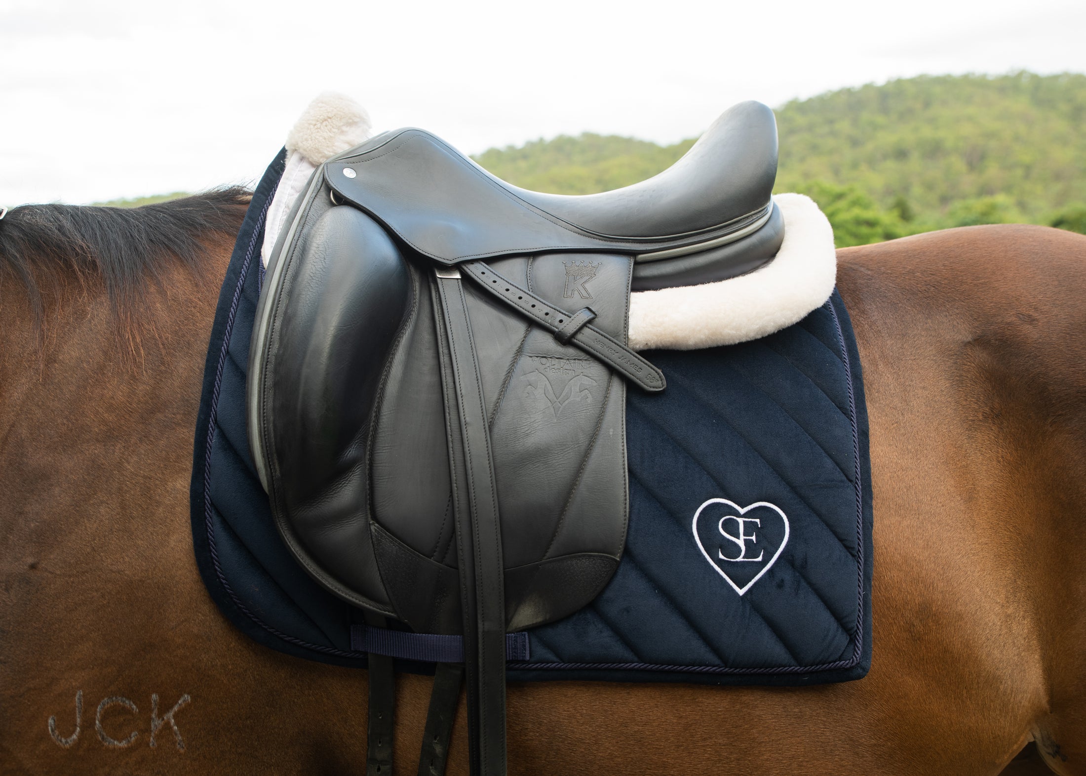 Navy Dressage Saddle Pad - Limited Edition