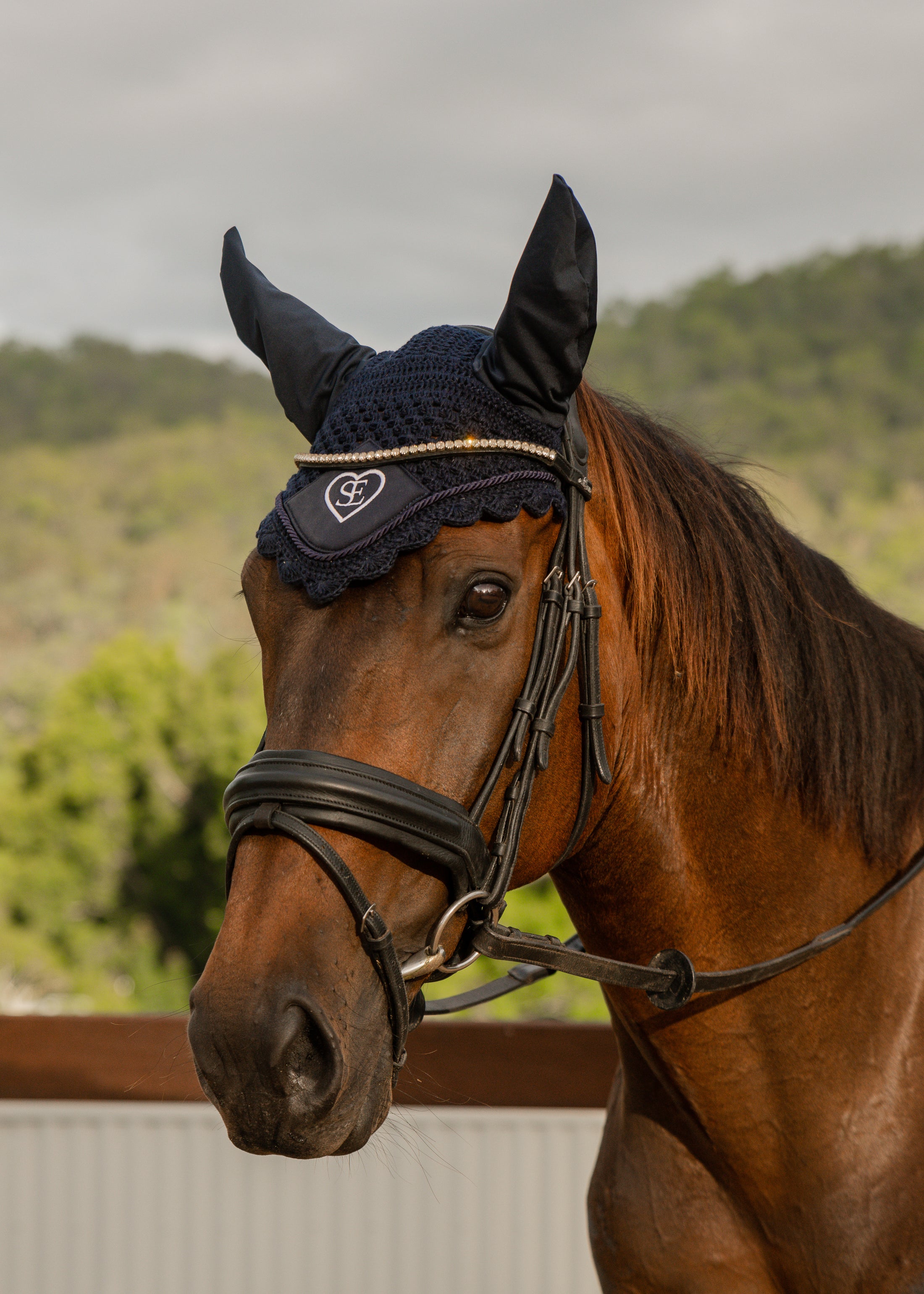 Navy Ear Bonnet- Limited Edition