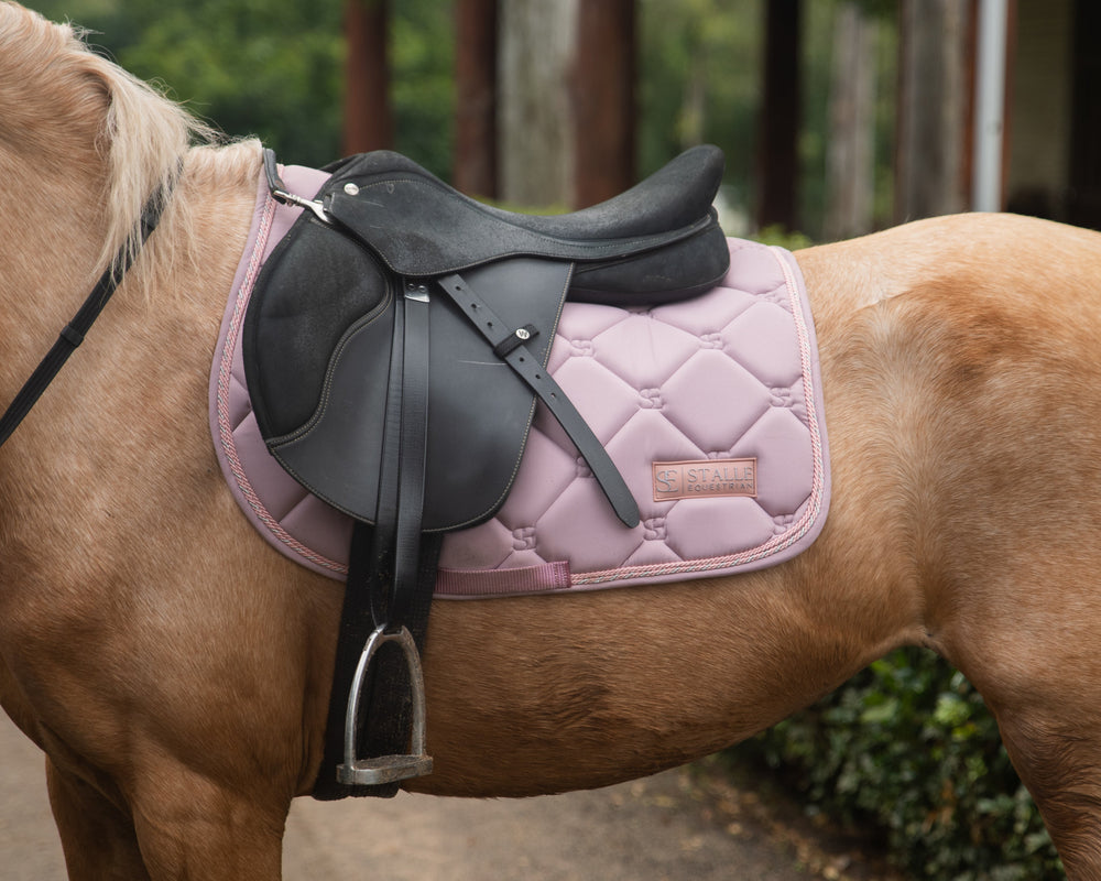 <h2>Trusted by hundres of equestrians</h2>