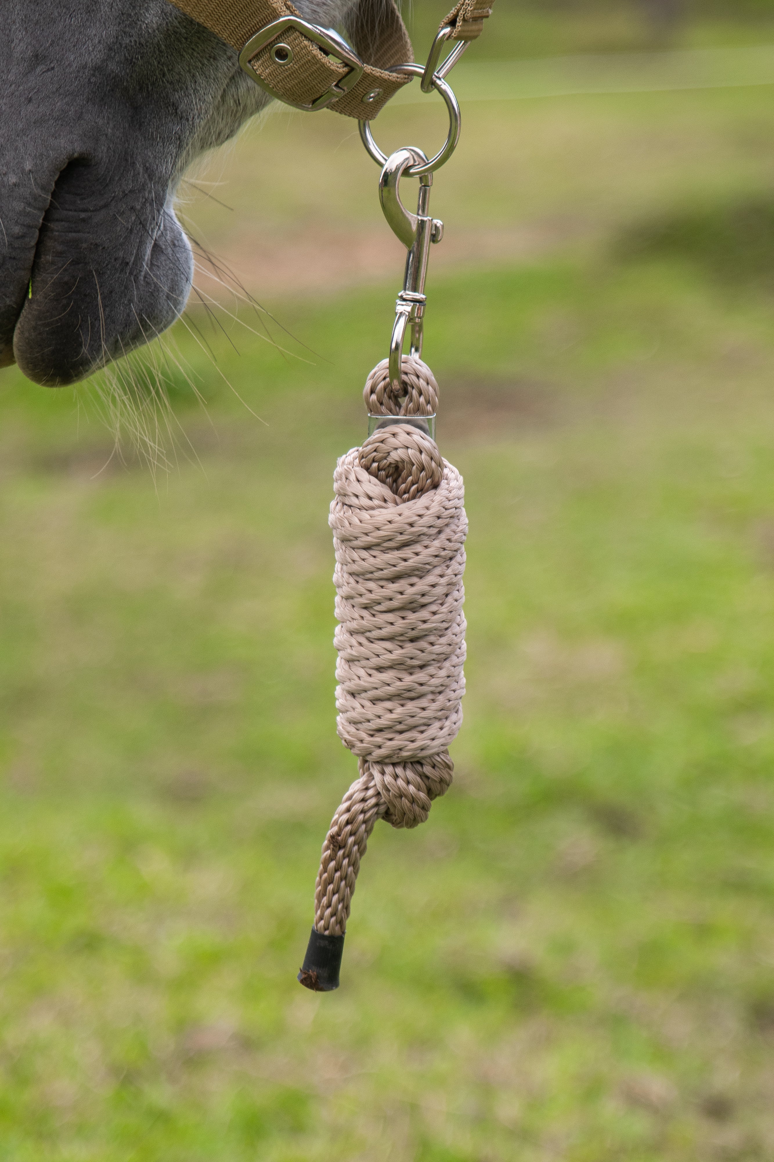 Lead rope - Beige – Stalle Equestrian
