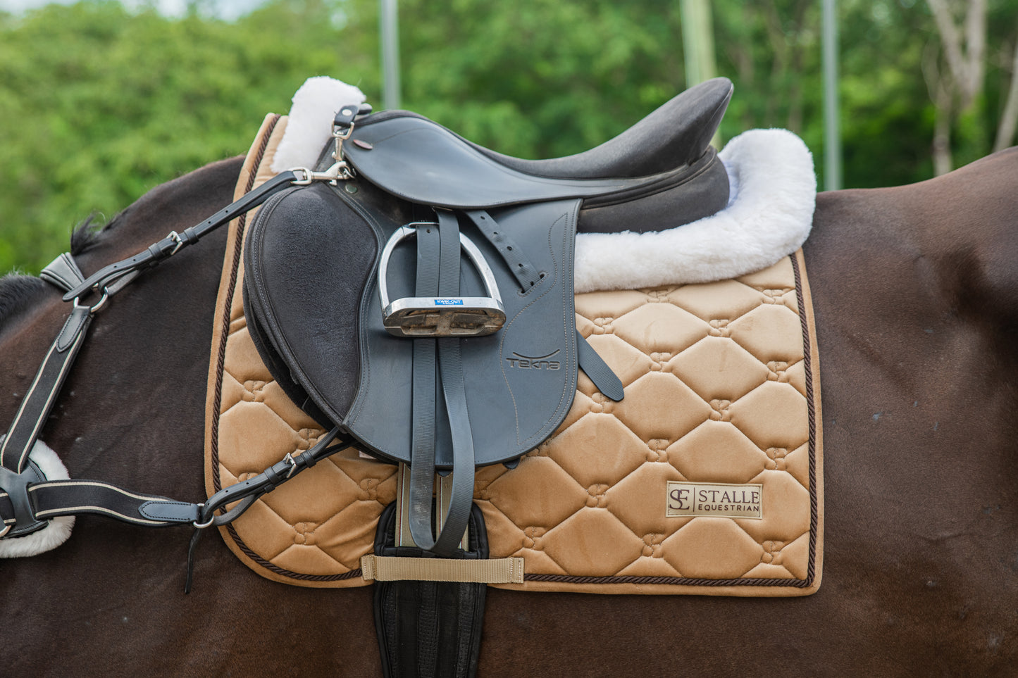 Velvet Dressage Saddle Pad - Gold