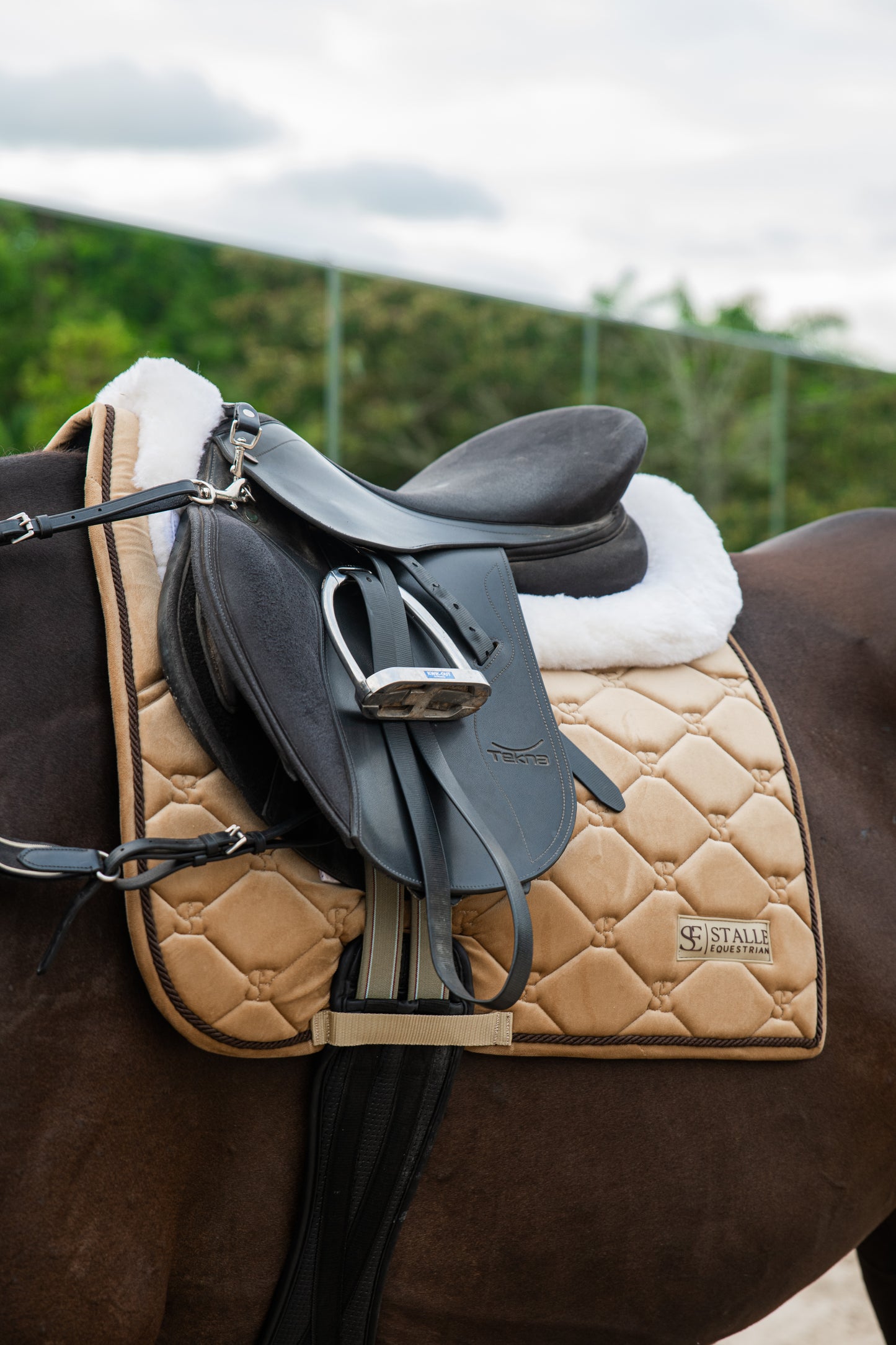 Velvet Dressage Saddle Pad - Gold