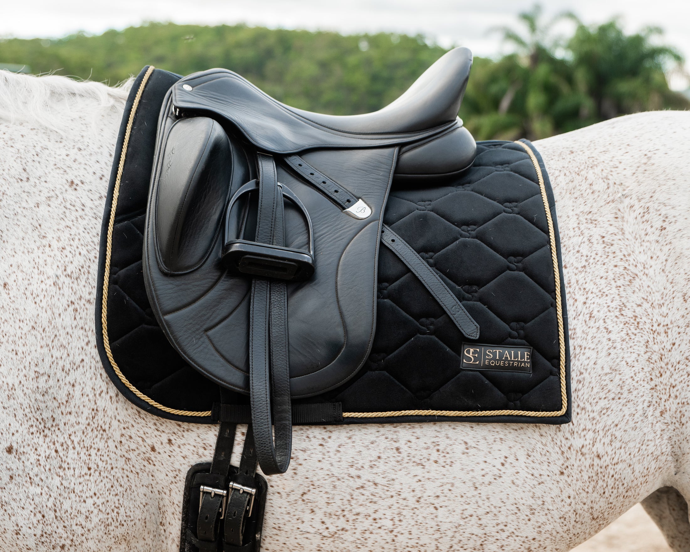 Velvet Dressage Saddle Pad - Black