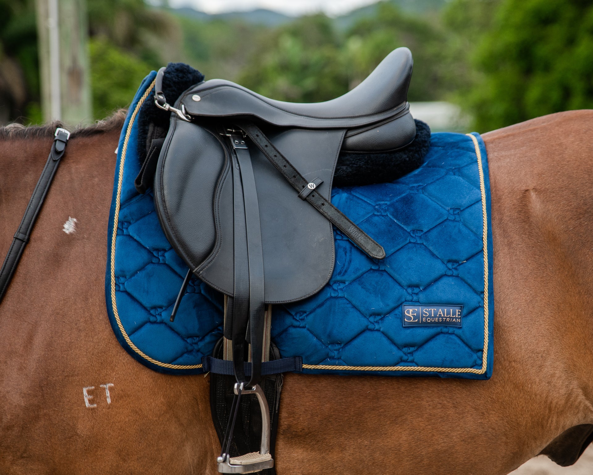 Velvet Dressage Saddle Pad - Blue