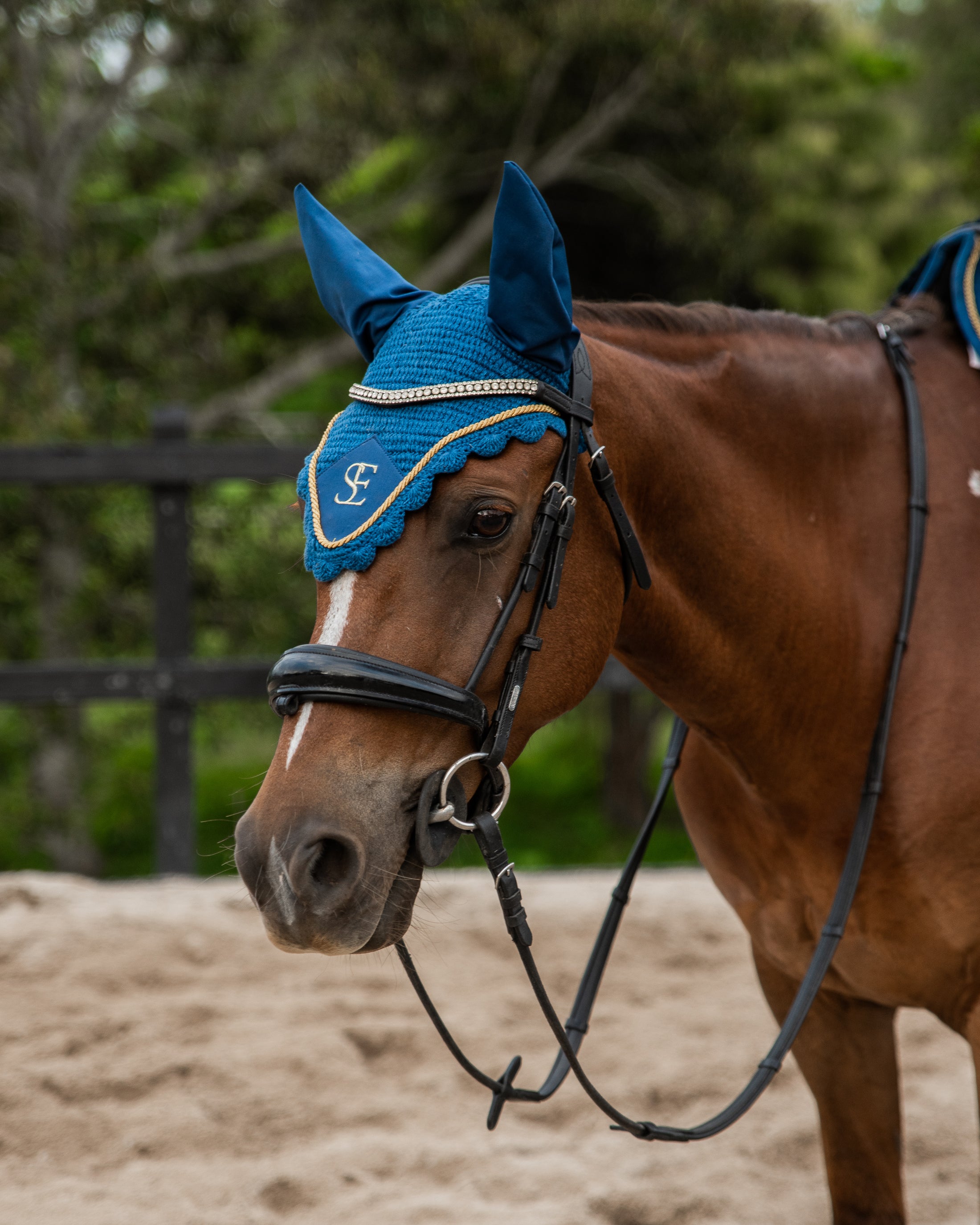Ear Bonnet - Imperial Blue