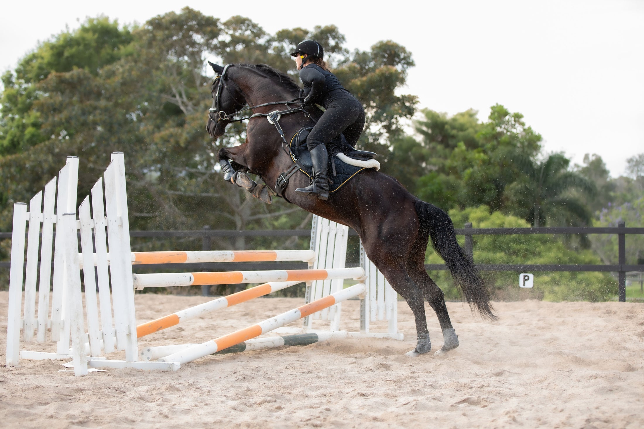 Velvet Jump Saddle Pad - Black