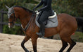 Load image into Gallery viewer, Velvet Jump Saddle Pad - Grey

