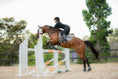 Load image into Gallery viewer, Velvet Jump Saddle Pad - Grey
