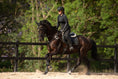 Load image into Gallery viewer, Velvet Jump Saddle Pad - Black
