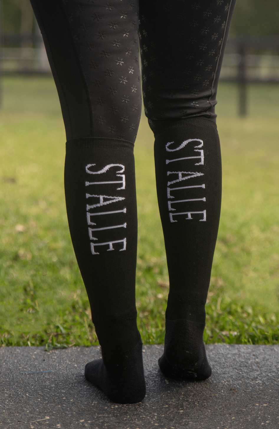 Stalle Performance Socks