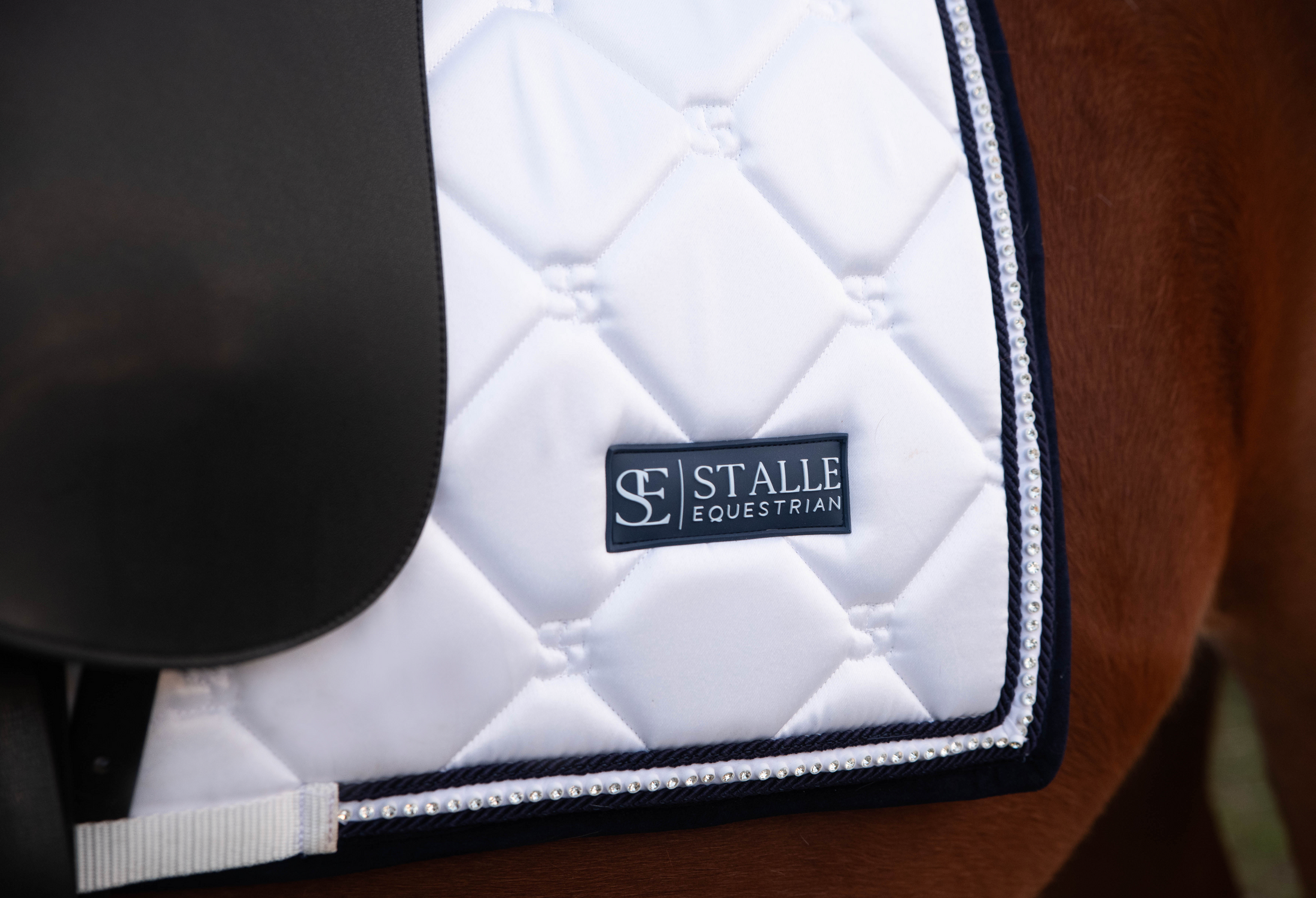 Dressage Saddle Pad - White & Navy