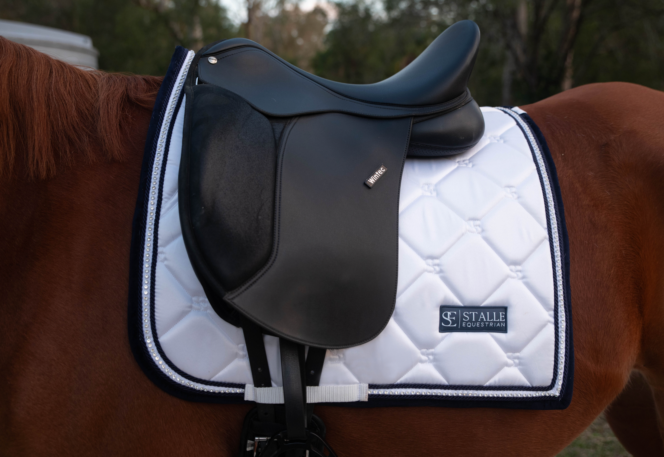 Dressage Saddle Pad - White & Navy