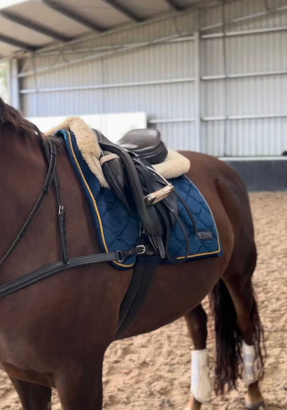 <h2>Trusted by hundres of equestrians</h2>